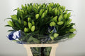 LI OT PETACAS 100 cm/4 en 'op' (2.22 €/ks)