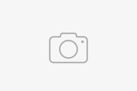 Delph Bel Sneeuwwitje White  W 70cm/ (0.83 €/ks)