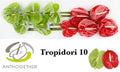 ANTH A TROPIDORI GEM /15 cm (3.82 €/ks)