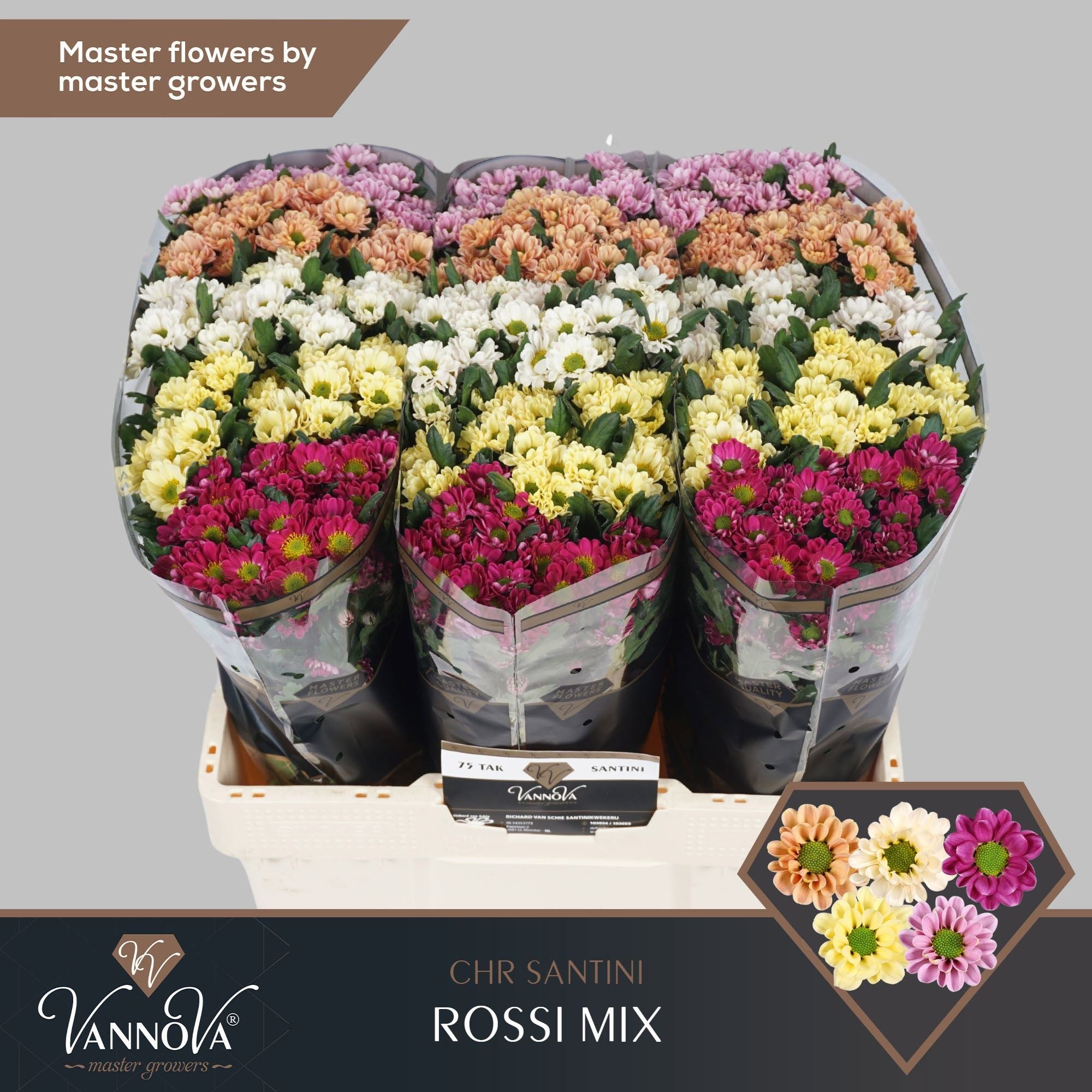 CHR S ROSSI GEM FST 55 cm/1100 gram (1.04 €/ks)