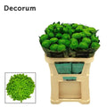 CHR G ALEMANI 70 cm/120 gram (1.60 €/ks)