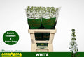 MATTH MILLA WHITE / (1.16 €/ks)