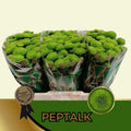 CHR S AAA PEPTALK 55 cm/1100 gram (0.71 €/ks)