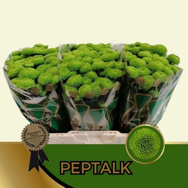 CHR S AAA PEPTALK 55 cm/1100 gram (0.71 €/ks)