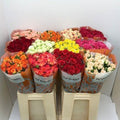 R TR GEM IN FUST 60 cm/minimaal 6 (1.68 €/ks)